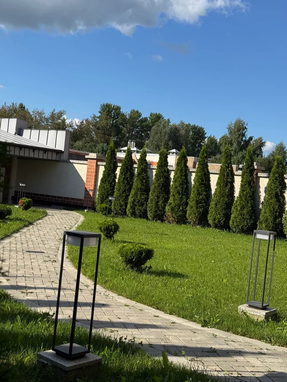Изгородь из туй и газон — через год после посадки — Одинцовский район, д. Семенково, фото 2