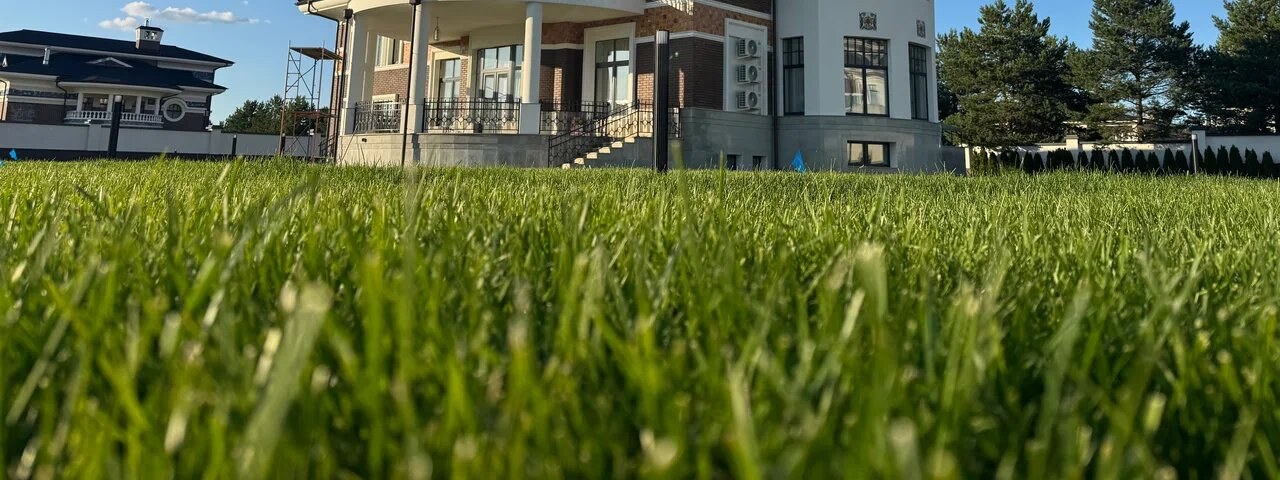3 000 м² газона, автополив и около 300 туй — Одинцовский район, д. Семенково, фото 3