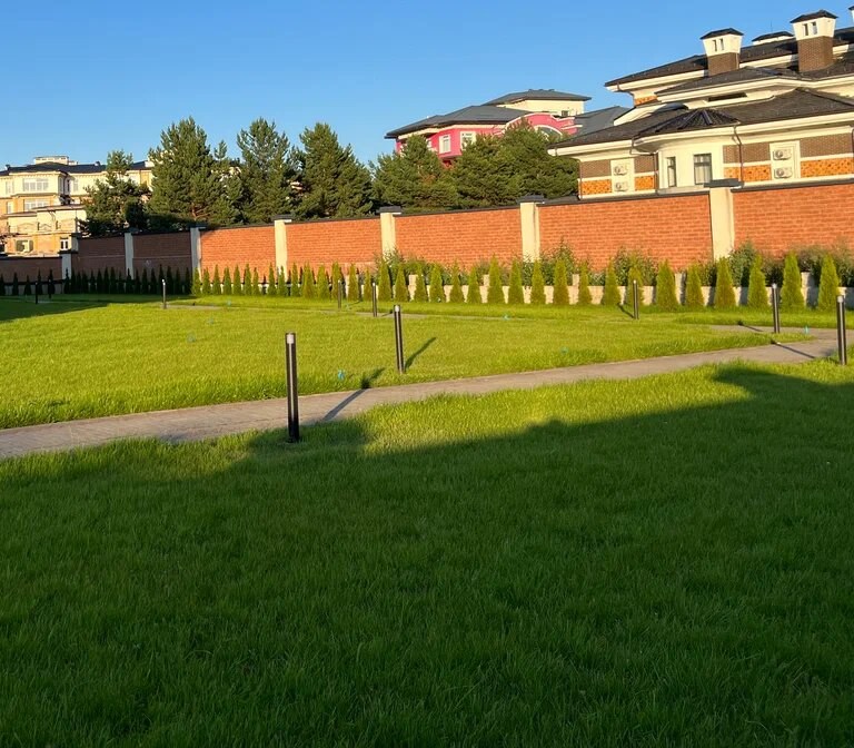 Газон 3 000 м² с автополивом и изгородь из туй — Одинцовский район, д. Семенково, фото 4