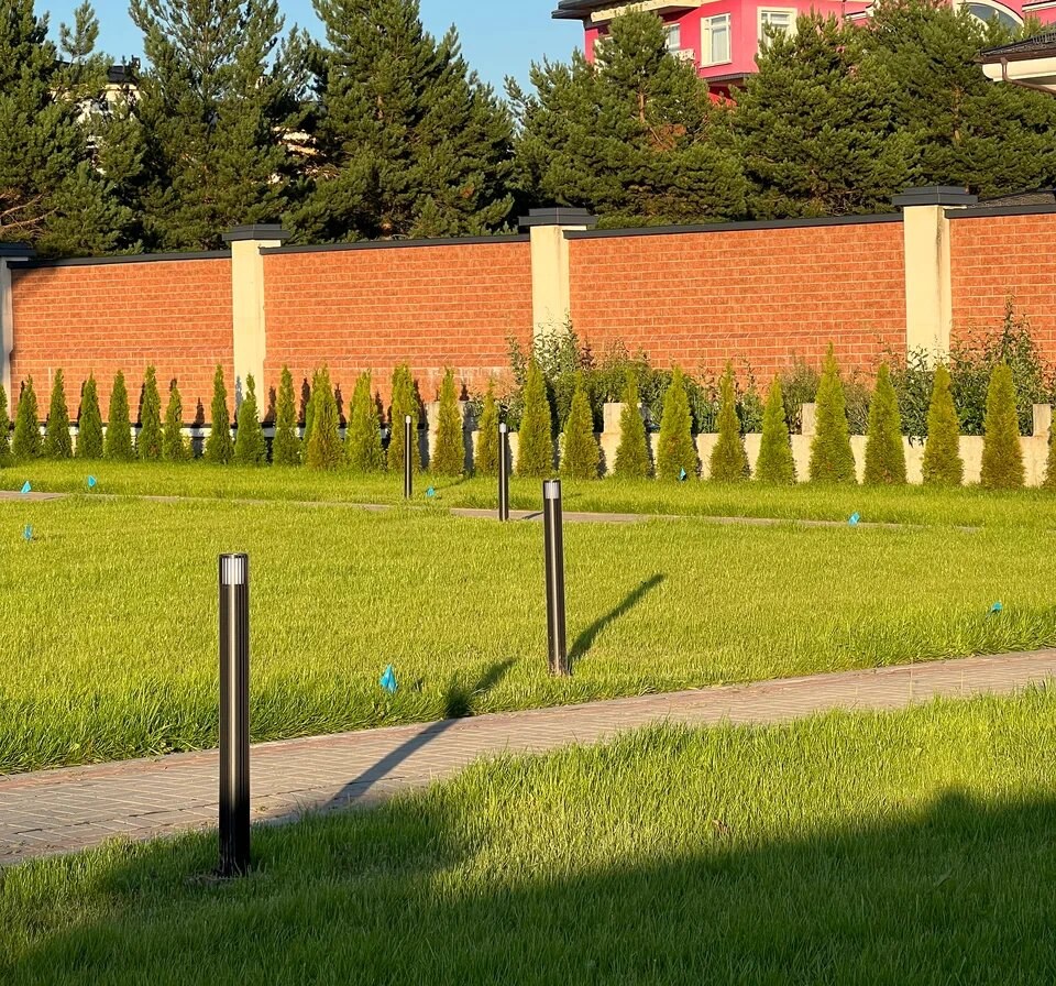Газон 3 000 м² с автополивом и изгородь из туй — Одинцовский район, д. Семенково, фото 7