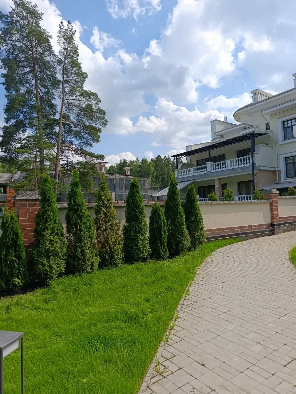 Восстановили живую изгородь: 70 туй по 2 метра — Одинцовский район, д. Семенково, фото 6
