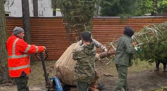 Крупномер в прикопе