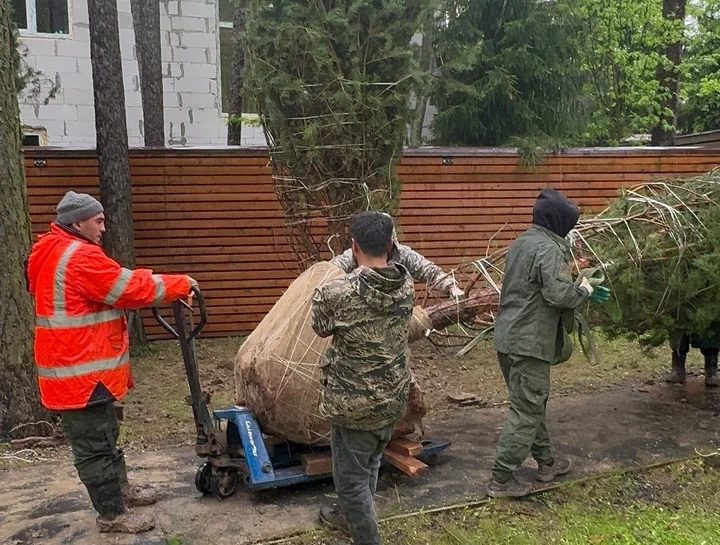 Крупномер в прикопе