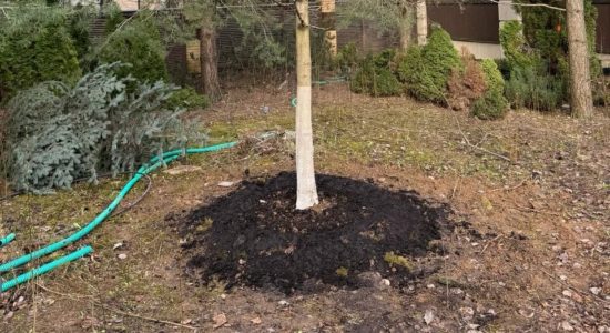 Полив крупномеры