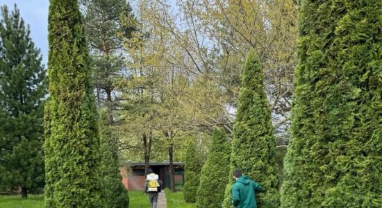 Какие крупномеры выбрать