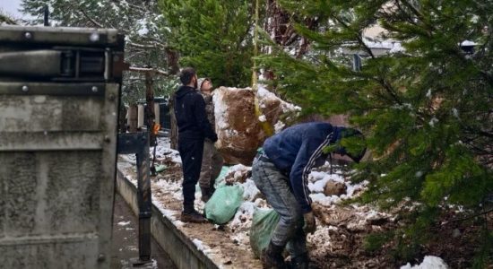 Зимняя посадка крупномера