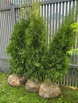 Фото из отзыва: Ирина