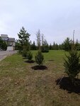 Фото из отзыва: Ольга Оленичева