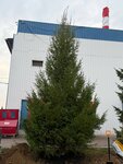 Фото из отзыва: Виктория В.