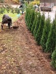 Фото из отзыва: Олег Г.