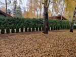 Фото из отзыва: Олег Г.